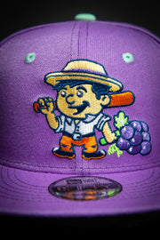 Viñeros de Tri-City Copa De La Diversion 9Fifty New Era Fits Snapback Hat