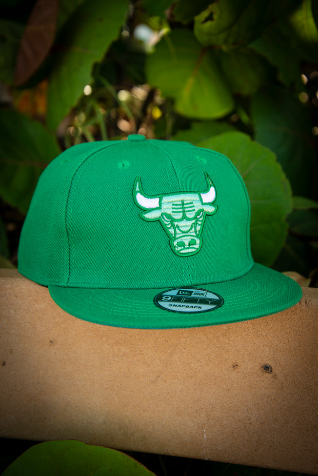 Caps - New Era Repreve 940 Chicago Bulls (green)