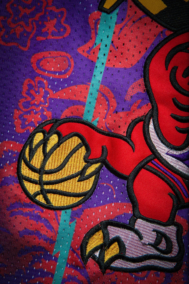 Mitchell & Ness Toronto Raptors Vince Carter Chinese Logo 1998-99 Hardwood Classics Authentic Jersey