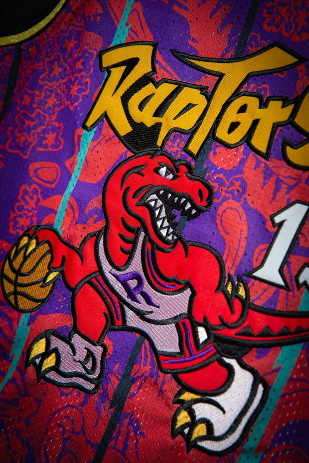 Vince Carter Shirt Toronto Raptors Unisex Tshirt Print Art 
