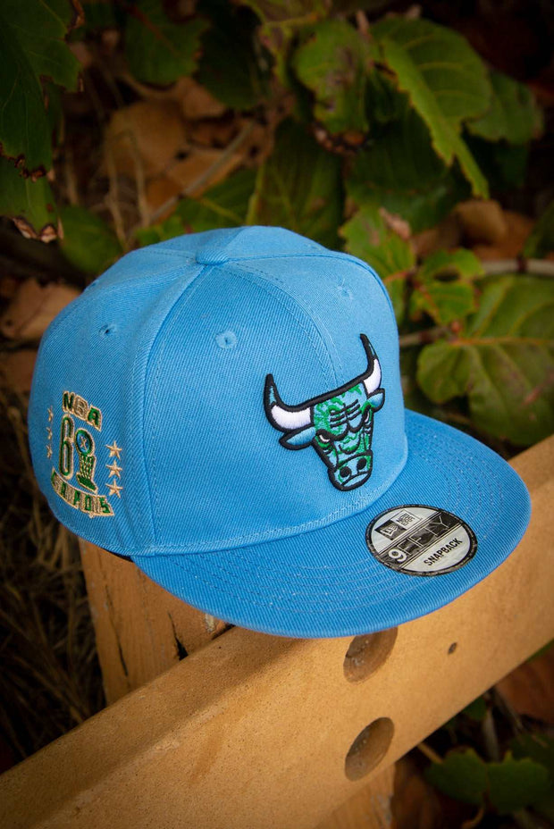 Chicago Bulls Earth 6X Champs 9FIFTY New Era Fits Snapback Hat by Devious Elements Apparel