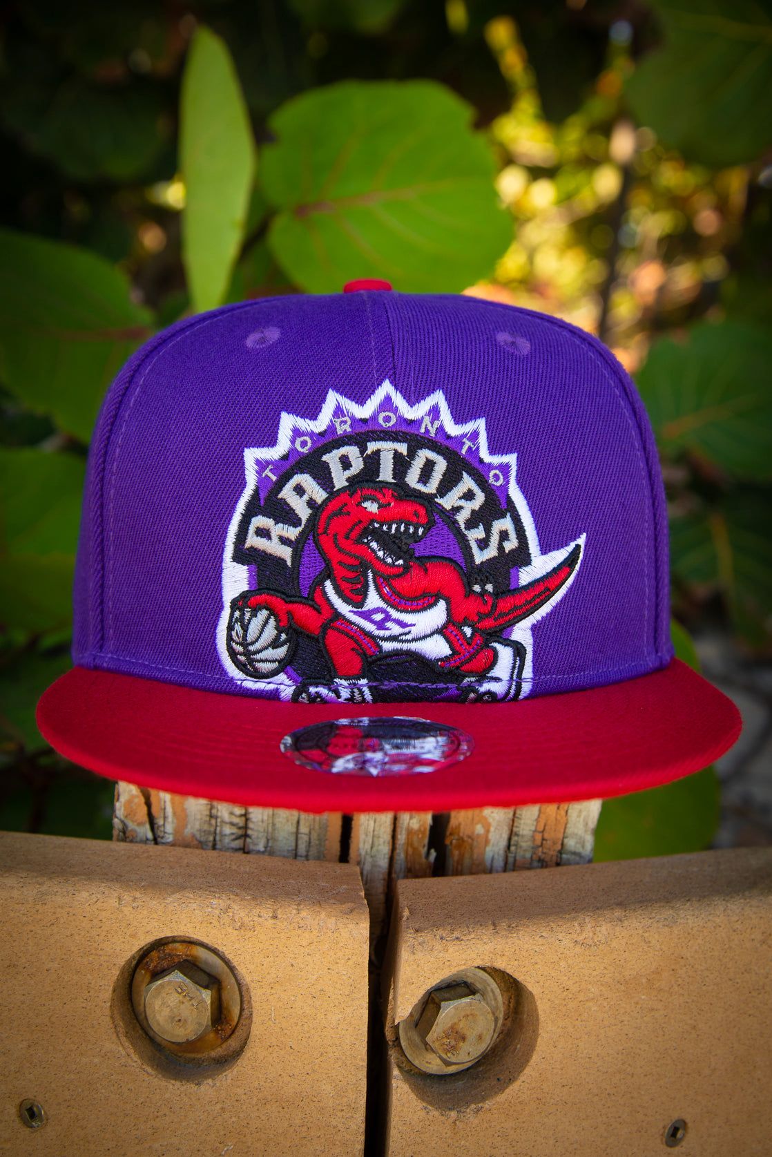 MEN'S 920 TORONTO RAPTORS OLD LOGO PURPLE SNAPBACK