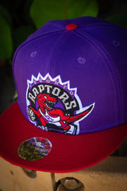 Mitchell & Ness Mens Purple Toronto Raptors NBA Spray Paint Snapback Hat  OSFA